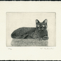 くつろぐ猫/銅版画(額カラー・黒/あり） 4枚目の画像