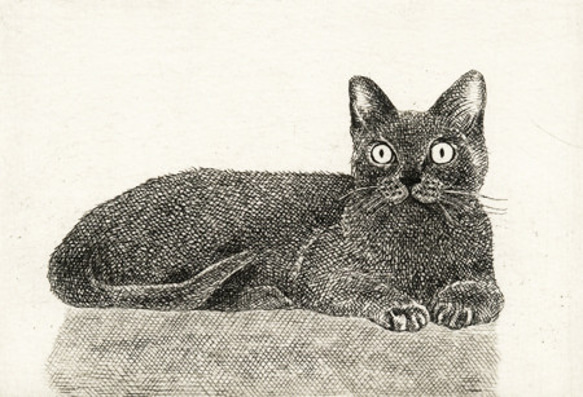 くつろぐ猫/銅版画(額カラー・黒/あり） 5枚目の画像