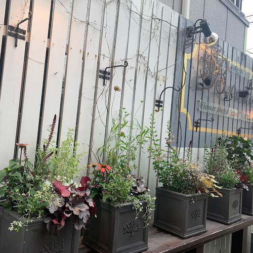 超早割】2025クリスマス 生花・フレッシュ クリスマスリース 大人っ