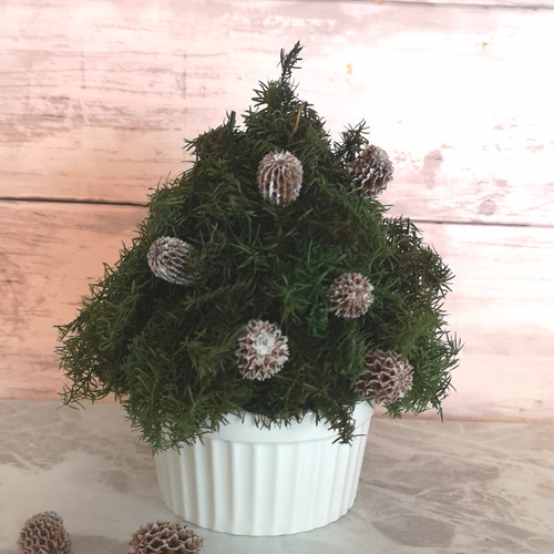 【プリリン】クリスマス白木2点 プリリン】クリスマス白木2点 プリリン】クリスマス白木2点 白樺