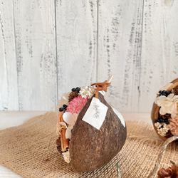 【ドライフラワーアレンジ】ブッタナッツMのアレンジ・・各種お祝いの贈り物、誕生日・ブライダル 3枚目の画像