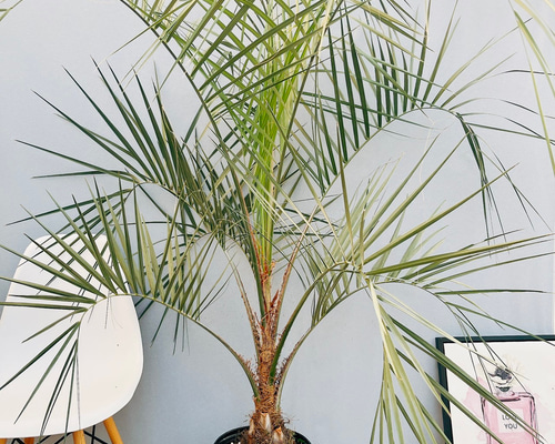 71b96e16ad55c7cba1ec975e2fee17