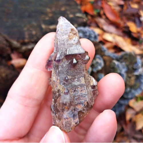 アメジスト 観賞石 希少タイプ〉モンドアメジスト◇エレスチャル56mm 天然石