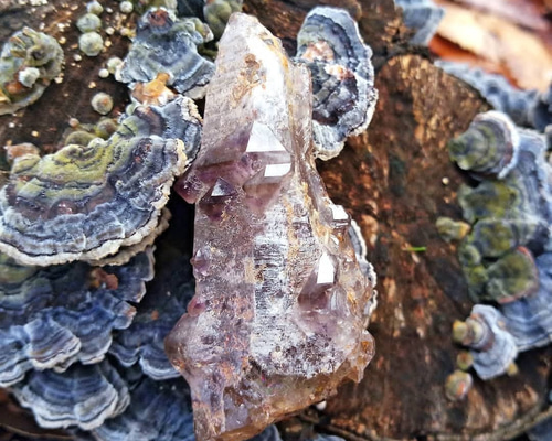 希少タイプ〉モンドアメジスト◇エレスチャル56mm 天然石 HAYSTONE