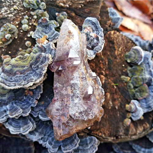 アメジスト 観賞石 ns-368-0.jpg