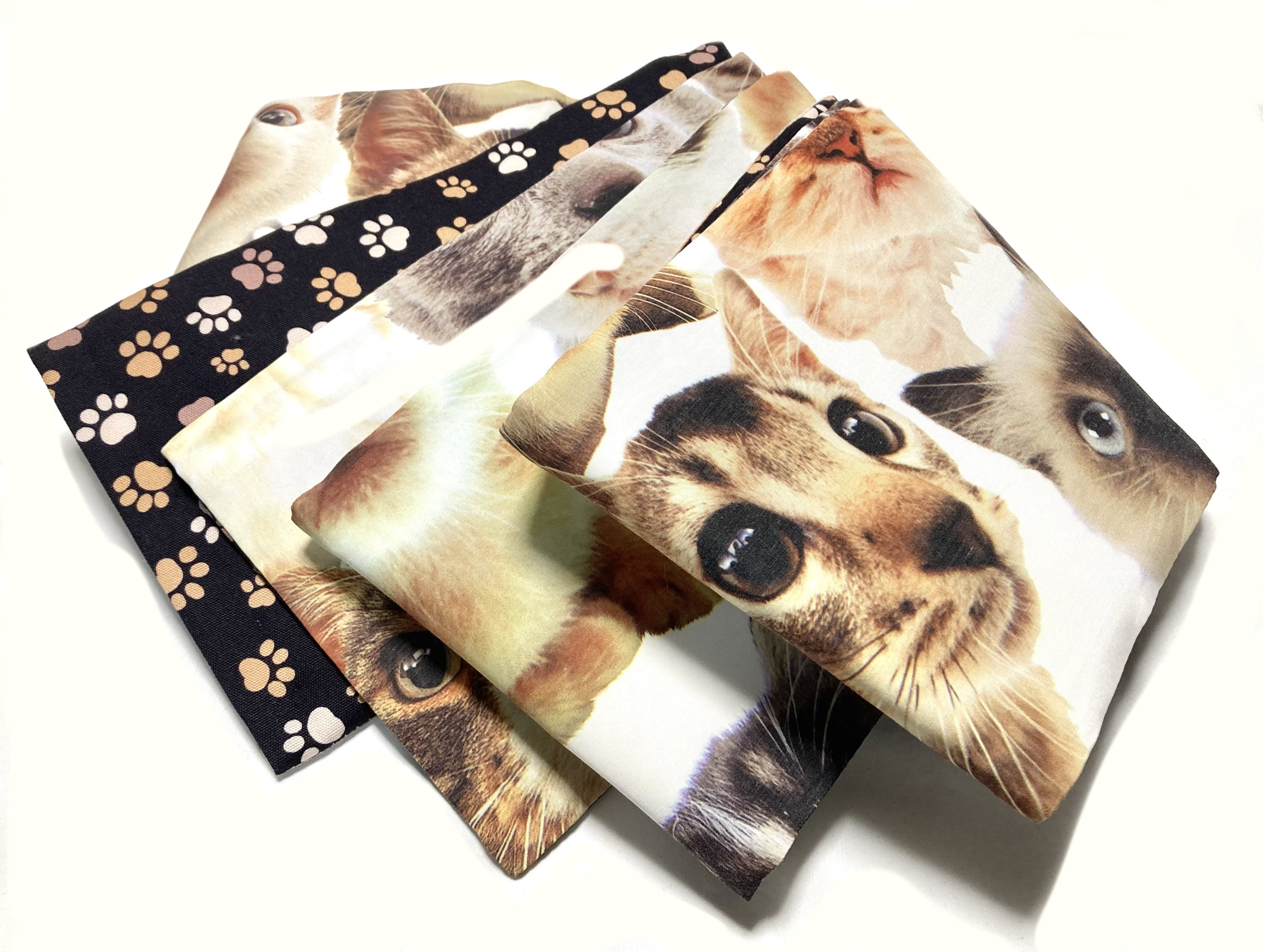 USAコットンBIG face猫ちゃん柄　半幅帯新品リバ