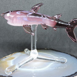 ガラスの造形・サメ（台付き） 15枚目の画像