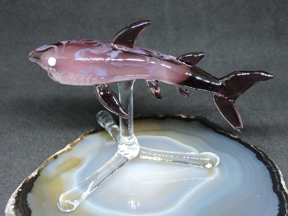 ガラスの造形・サメ（台付き） 2枚目の画像