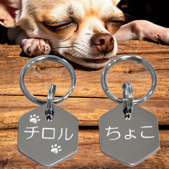 迷子札 6角形 ヘキサゴン Sサイズ 小型犬 愛犬用 ネームプレート ドッグタグ まいごふだ 1枚目の画像