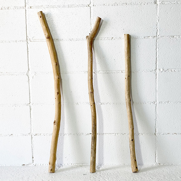 【送料無料】流木　長さ100センチメートル 送料無料】流木長さ100センチメートル