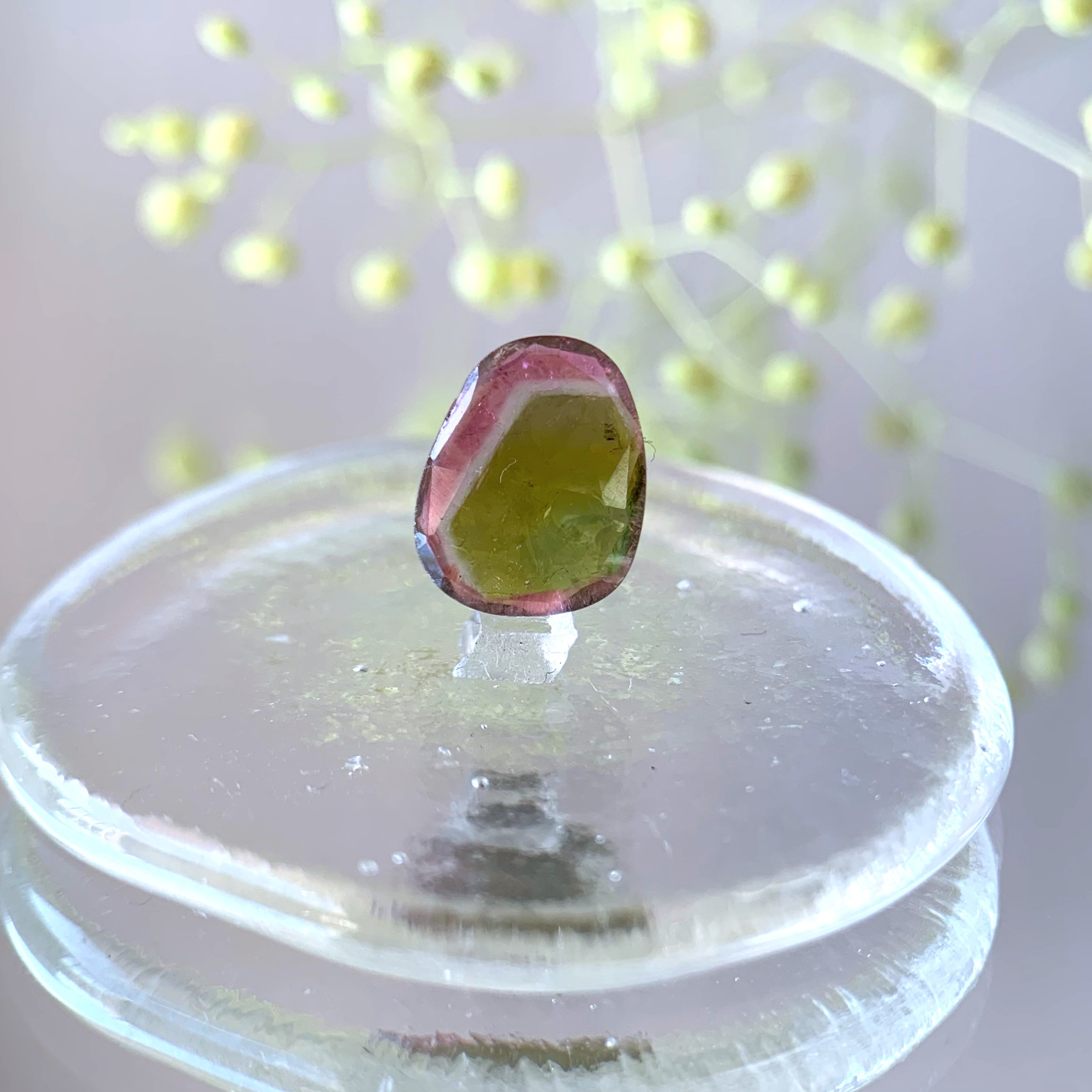 【受注制作】小粒　バイカラートルマリン　silver ring（7）