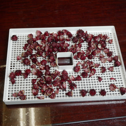 乾燥ローゼル　（ローゼル茶・ローゼルシロップ・ハーブティー材料） 8枚目の画像