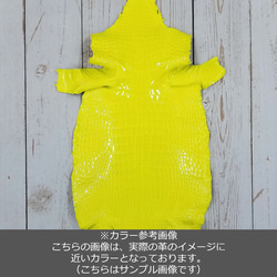 ワニ革 グレージング(艶) レモンピール（白鞣し）「長財布向け」No.CM0021(5703) 2枚目の画像