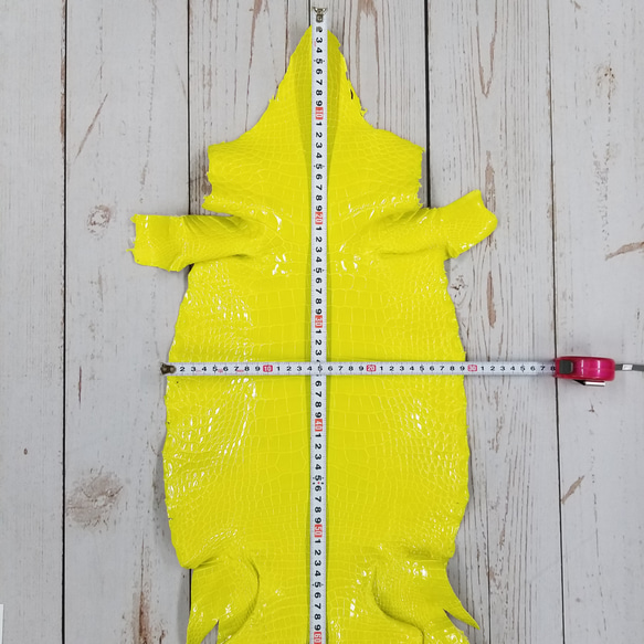 ワニ革 グレージング(艶) レモンピール（白鞣し）「長財布向け」No.CM0021(5703) 5枚目の画像