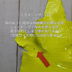 ワニ革 グレージング(艶) レモンピール（白鞣し）「長財布向け」No.CM0021(5703) 7枚目の画像