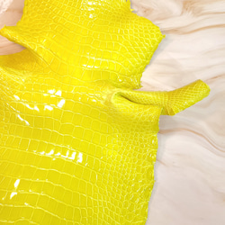 ワニ革 グレージング(艶) レモンピール（白鞣し）「長財布向け」No.CM0021(5703) 12枚目の画像