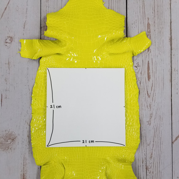 ワニ革 グレージング(艶) レモンピール（白鞣し）「長財布向け」No.CM0021(5703) 4枚目の画像