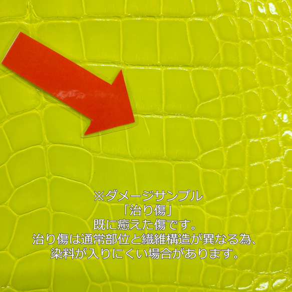 ワニ革 グレージング(艶) レモンピール（白鞣し）「長財布向け」No.CM0021(5703) 9枚目の画像