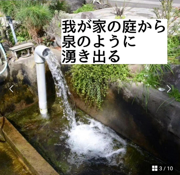 肉球クリーム　熊本のあそ山の新鮮な湧き水で制作しました　受注生産　できたて新鮮な肉球クリームを心をこめてお届けいたします 3枚目の画像