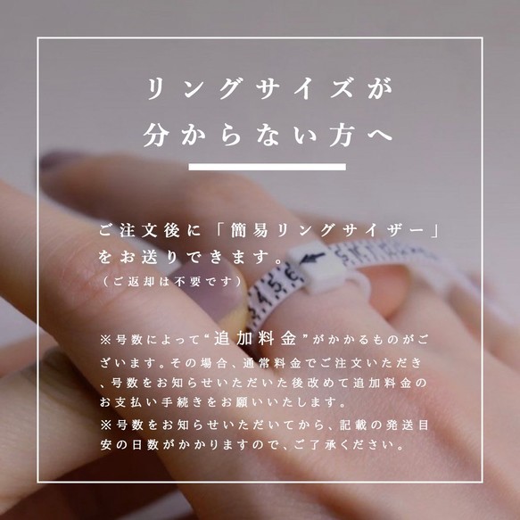 〈K18・プラチナ〉Plump 逆甲丸 ring［Middle］ 2〜25号<VR093M> 4枚目の画像