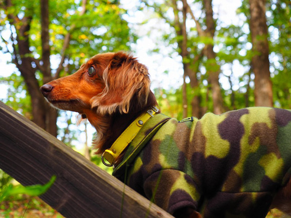 犬服　自然と一体化するフリースのボタン付き迷彩シャツ 8枚目の画像