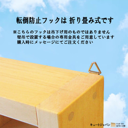 ゴルフボール コレクションケース アクリル障子付 日本製 ディスプレイ 収納 棚【送料無料】 5枚目の画像