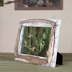 浮木相框-30 第2張的照片