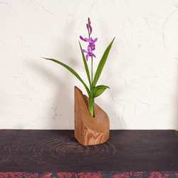 為什麼不用你最喜歡的花來裝飾它呢？浮木花瓶，花底座，單花瓶，67 第1張的照片
