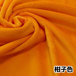 【難得取得】水晶蟒蛇絨毛玩具布料橘色 第1張的照片