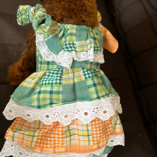 ワンちゃんのフリフリワンピとお揃いのお散歩バック♪ ペット服