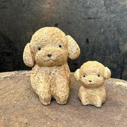 トイプードル　(レッド）　O-406-1　　陶製　/toy poodle/玩具貴賓犬 7枚目の画像