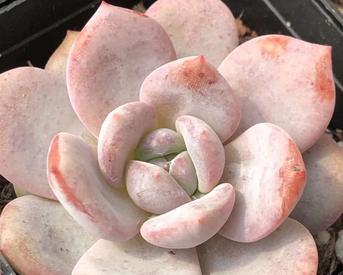 22a42f403ecab76a968ef3ed1a972c