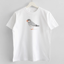 Tシャツ（Simple / 文鳥 / 桜） 2枚目の画像