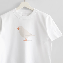Tシャツ（Simple / 文鳥 / 白） 1枚目の画像