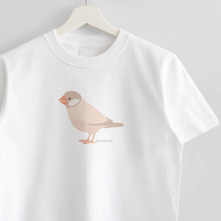 Tシャツ（Simple / 文鳥 / シナモン） 1枚目の画像