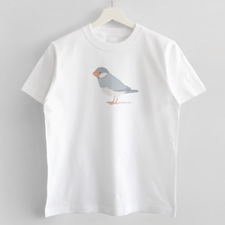 Tシャツ（Simple / 文鳥 / シルバー） 2枚目の画像