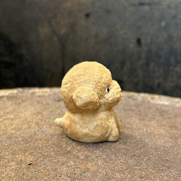 トイプードル　子(レッド）　O-407-1　　陶製　/toy poodle/玩具貴賓犬/Hund 2枚目の画像