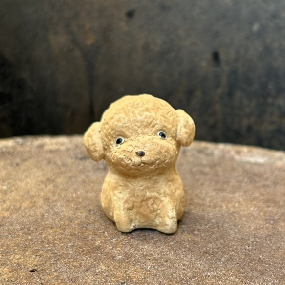 トイプードル　子(レッド）　O-407-1　　陶製　/toy poodle/玩具貴賓犬/Hund 1枚目の画像