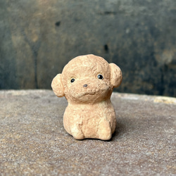 玩具貴賓犬兒童（杏色）O-407-2 陶瓷/玩具貴賓犬/玩具貴賓犬/獵犬 第1張的照片