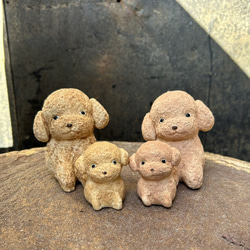玩具貴賓犬兒童（杏色）O-407-2 陶瓷/玩具貴賓犬/玩具貴賓犬/獵犬 第8張的照片