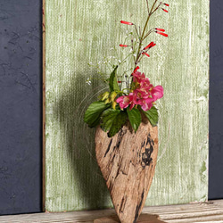 為什麼不用你最喜歡的花來裝飾它呢？浮木花瓶，花底座，單花瓶，62 第3張的照片