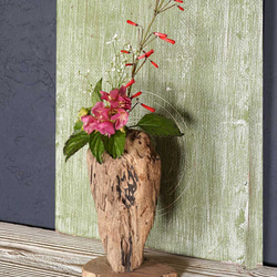 為什麼不用你最喜歡的花來裝飾它呢？浮木花瓶，花底座，單花瓶，62 第2張的照片
