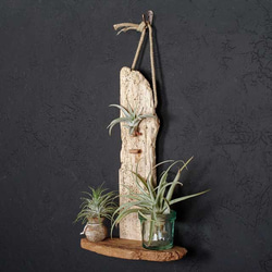 板流木と流木の花器、フラワーベース　一輪挿し　花瓶　wood vase　　２６ー１ 5枚目の画像