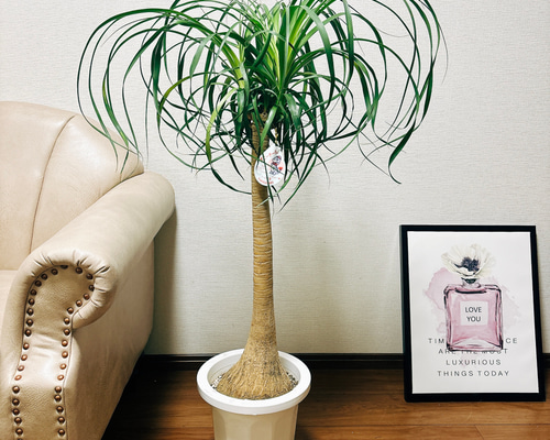 8ed512168100813f5a160059d6c8c3