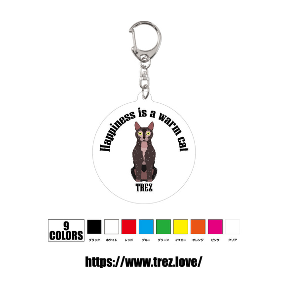 全9色 名前入り ライコイ アクリル 迷子札 ネームタグ キーホルダー 1枚目の画像