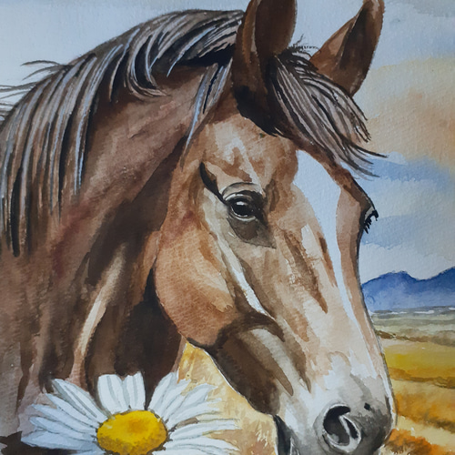 水彩画 野生の馬 絵画 makochin 通販 16673601｜Creema(クリーマ)