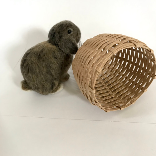 うさぎ 羊毛フェルト ロップイヤー ホーランドロップ ミニうさぎ 羊毛