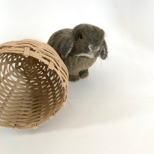 うさぎ 羊毛フェルト ロップイヤー ホーランドロップ ミニうさぎ 羊毛