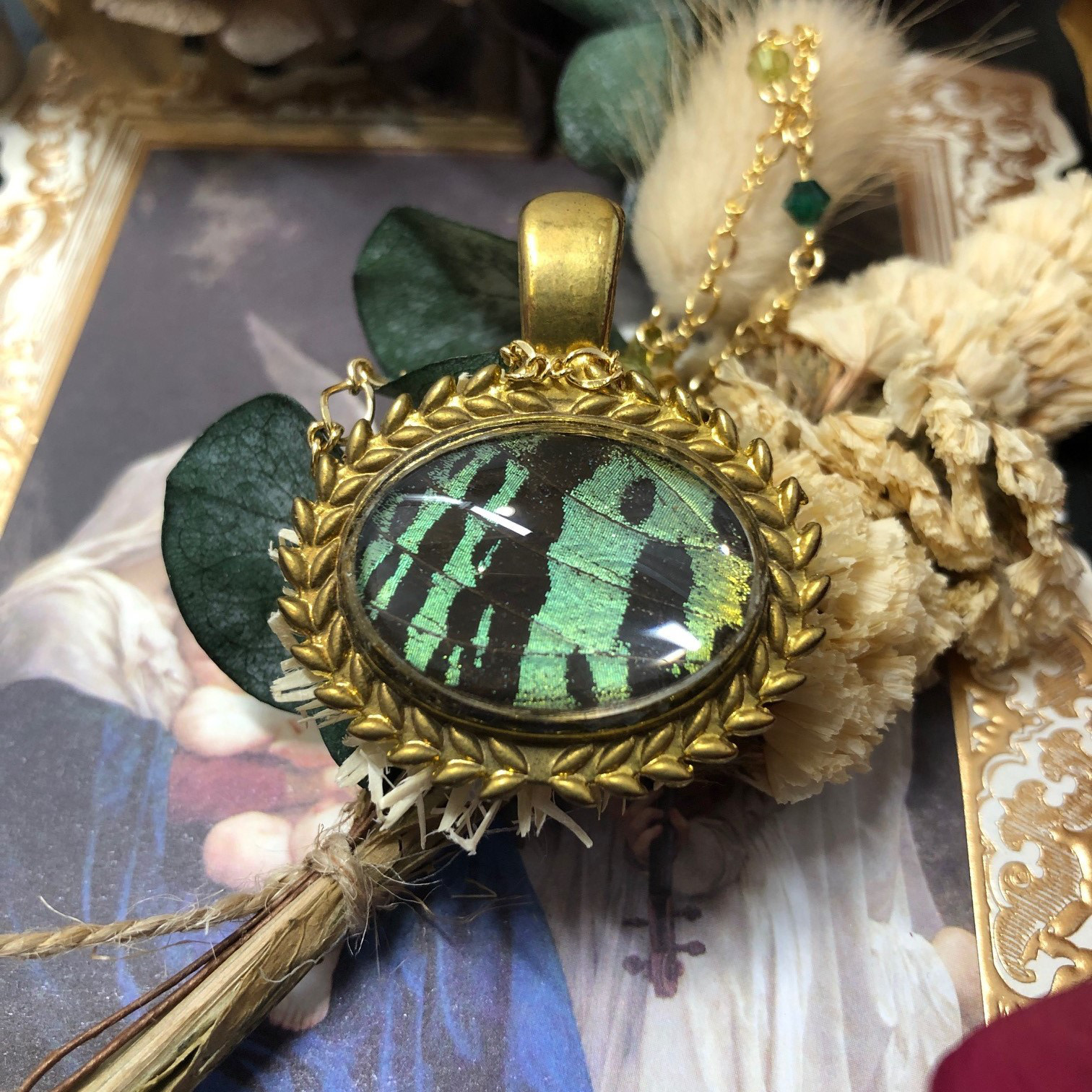 ニシキオオツバメガ 標本世界で一番美しい鱗翅類