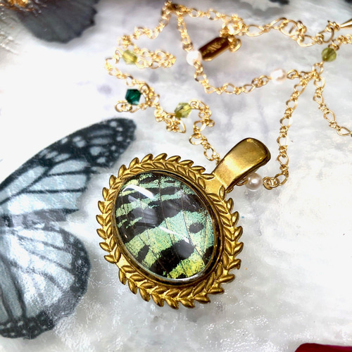 ニシキオオツバメガ翅のネックレス(ゴールド) ネックレス・ペンダント